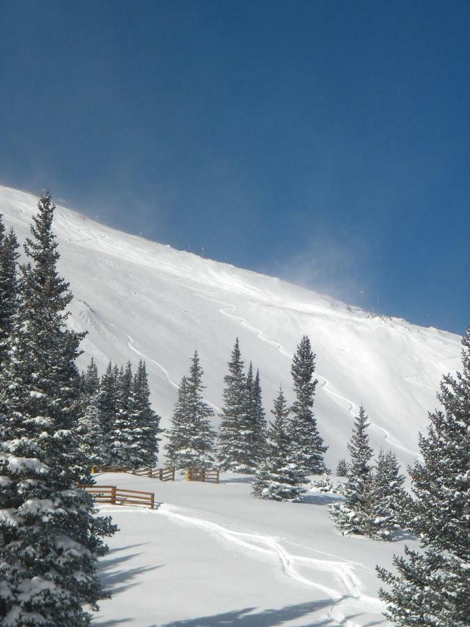 522 Watch Hill Condo Silverthorne Exteriör bild